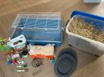Hamsterkooi, Dieren en Toebehoren, Kooi, Minder dan 75 cm, Zo goed als nieuw, Hamster