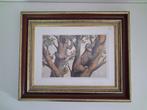 Vintage Dierenprint. Luiaard, Ophalen of Verzenden, Minder dan 50 cm, Schilderij, Minder dan 50 cm
