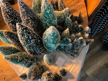 10.  kerstboompjes van klein naar groot voor kerstdorp beschikbaar voor biedingen