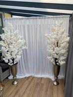 Bloesembomen te huur!!, Ophalen of Verzenden, Nieuw, Geboorte of Huwelijk