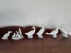 6 Lladro ganzen-beeldjes, bieden vanaf € 25,- per stuk, Verzamelen, Beelden en Beeldjes, Verzenden, Zo goed als nieuw, Dier