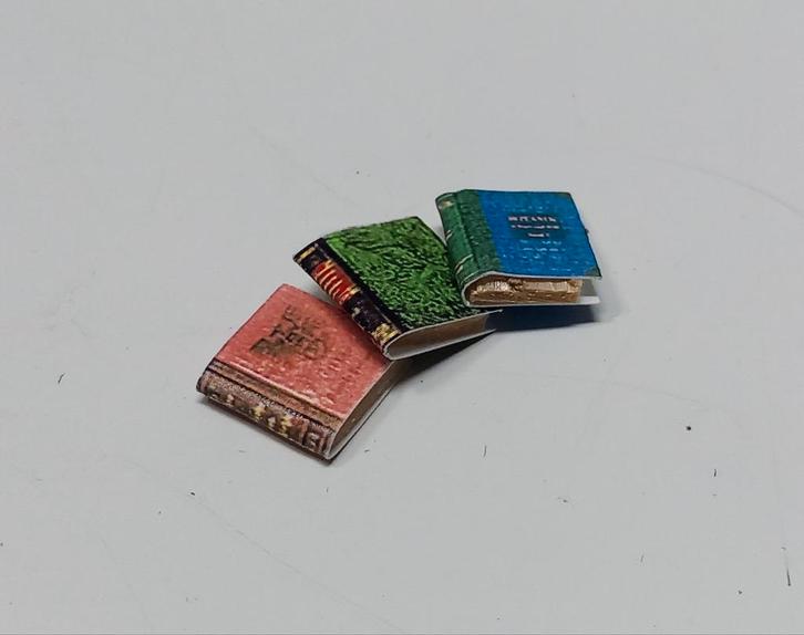 Poppenhuis boekjes 3 stuks,Kijk, Kies en Koop!, Verzamelen, Poppenhuizen en Toebehoren, Gebruikt, Ophalen of Verzenden