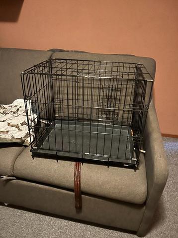kleine honden benches beschikbaar voor biedingen