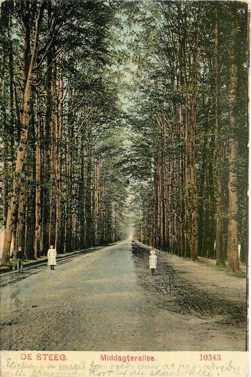 (387-224-025) De Steeg Middagterallee, Verzamelen, Ansichtkaarten | Nederland, Gelderland, Verzenden