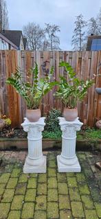 2 Pilaren met Plant, Minder dan 100 cm, Ophalen