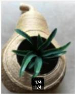 Design vaas met touw bekleed en kunstplant H 32 cm br 20 cm, Overige kleuren, Ophalen of Verzenden, Minder dan 50 cm, Glas