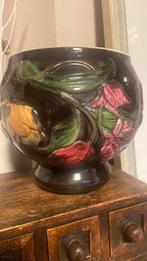 Vintage kamerplantpot glazuur, Ophalen, Halfschaduw, Minder dan 100 cm