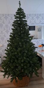 Kerstboom van Everlands, Ophalen, Zo goed als nieuw