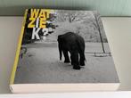 Boek Amsterdam Stad van foto’s van Jessica Voeten, 20e eeuw of later, Verzenden, Nieuw, Zie beschrijving