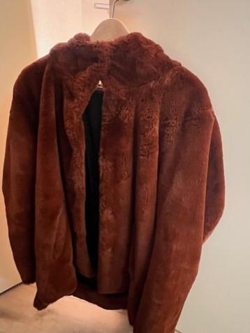 trendy teddy jas beschikbaar voor biedingen