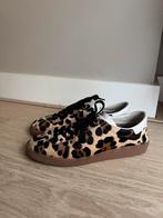 Panter sneakers maat 37 bronx, Bronx, Bruin, Ophalen of Verzenden, Sneakers of Gympen