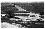 Epe Gezicht vanaf de Render Klippen, Verzamelen, Ansichtkaarten | Nederland, Ophalen of Verzenden, 1940 tot 1960, Gelopen, Gelderland