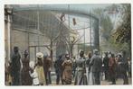 Artis Amsterdam Apenkooi 1907 oude ansichtkaart dierentuin, Verzamelen, Verzenden, Voor 1920, Gelopen, Noord-Holland