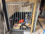 Hondenkooi, hondenbench grote hond, Dieren en Toebehoren, Ophalen, Zo goed als nieuw