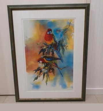 Zeefdruk met passe partout - 60x80 cm beschikbaar voor biedingen