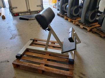 Panatta Back Extension - Rugtrainer beschikbaar voor biedingen