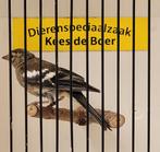 Europese vink pop, Dieren en Toebehoren, Vogels | Overige Vogels, Vrouwelijk, Tropenvogel, Geringd