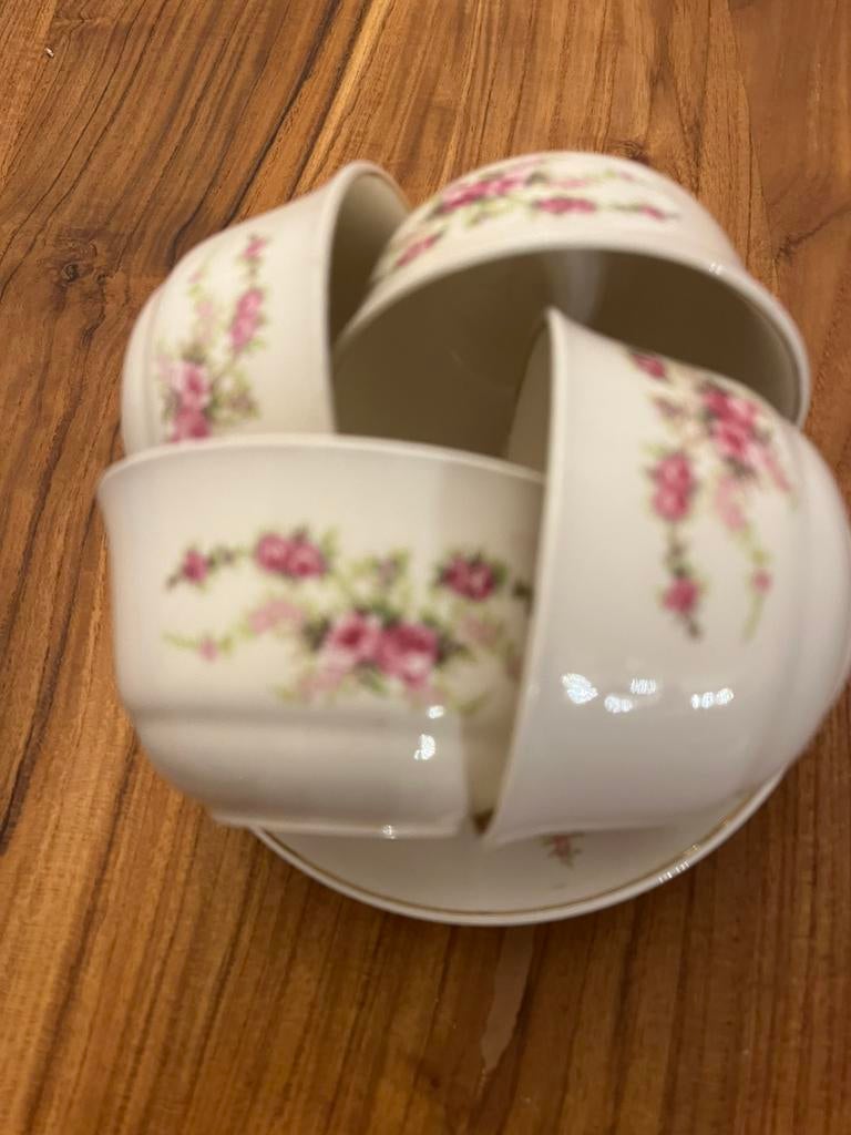 4 kop en schotels P Regout, Ophalen of Verzenden, Zo goed als nieuw, Porselein, Kop en/of schotel