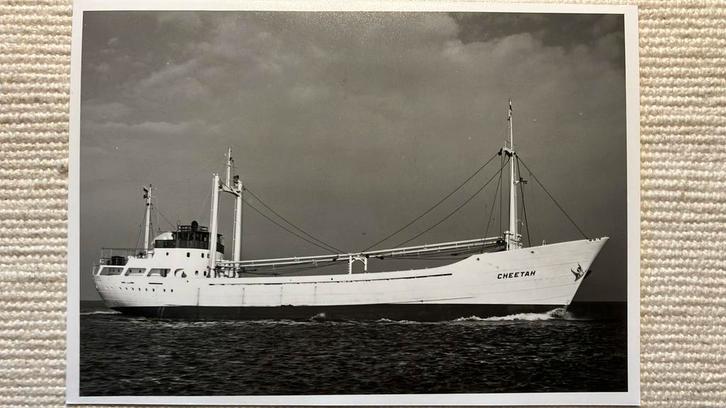 CHEETAH  - 1960  J. Cremer  werf vd Werff, Verzamelen, Scheepvaart, Ophalen of Verzenden