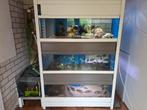 Aquarium kweek stelling  3 x 130x60x55 waterhoogte 31, Dieren en Toebehoren, Vissen | Aquaria en Toebehoren, Ophalen, Leeg aquarium