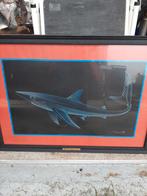 Tekening Haai, Ophalen