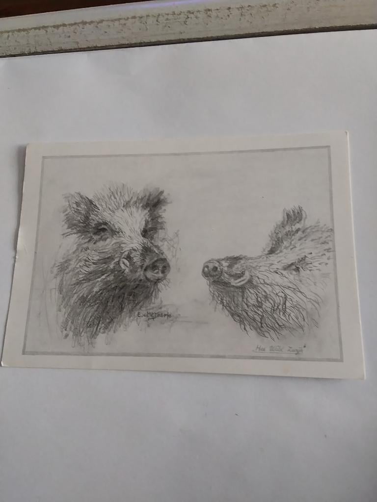E. VAN MERKERK. HET WILDE ZWIJN, Ophalen of Verzenden