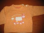 Oranje trui, 68, Orchestra, Kinderen en Baby's, Babykleding | Maat 68, Ophalen of Verzenden, Zo goed als nieuw, Meisje, Truitje of Vestje