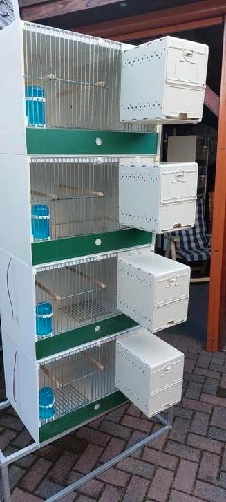 4 zeer nette heesakkers kunstof broedkooien  beschikbaar voor biedingen