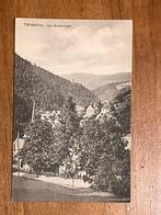 Triberg i. bad. Schwarzwald, Verzamelen, Ansichtkaarten | Buitenland, Ophalen of Verzenden, Voor 1920, Ongelopen, Duitsland