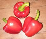 Rode Paprika Zaadjes afkomstig van Biologische Paprika's., Ophalen of Verzenden, Voorjaar, Volle zon, Zaad