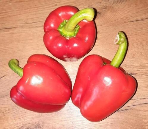 Rode Paprika Zaadjes afkomstig van Biologische Paprika's., Tuin en Terras, Bloembollen en Zaden, Zaad, Voorjaar, Volle zon, Ophalen of Verzenden