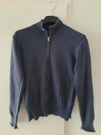 REPLAY  - L, Kleding | Dames, Overige kleuren, Verzenden, Maat 42/44 (L), Replay