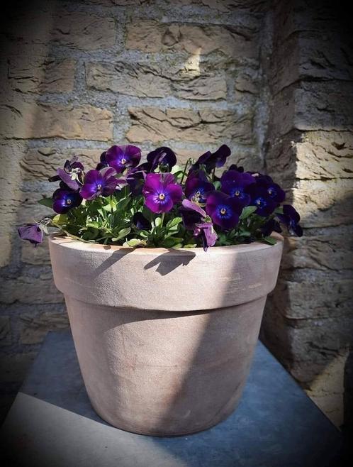 Terracotta buitenpotten, Tuin en Terras, Bloembakken en Plantenbakken, Nieuw, Binnen, Balkon, Tuin, Rond, Ophalen