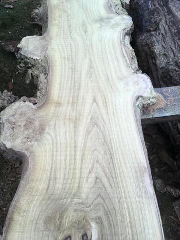 Drooge boomstamplanken TE KOOP vele soorten! beschikbaar voor biedingen