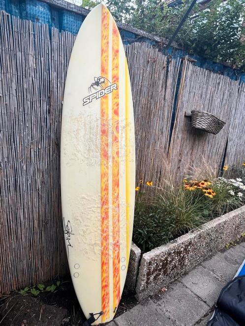 Surfplank Handgemaakt Zuid Afrika + Hoes, Watersport en Boten, Golfsurfen, Gebruikt, Longboard, Ophalen