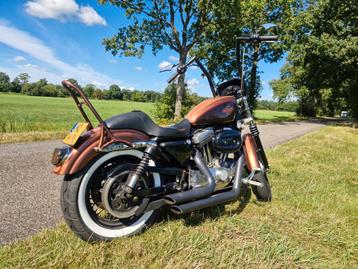 Harley davidson sportster 1200 beschikbaar voor biedingen