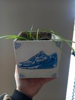 Delfts Blauw Nike Pot met Plant, Tuin en Terras, Bloempotten, Gebruikt, Vierkant, Binnen, Ophalen of Verzenden