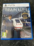Train Life: A Railway Simulator, Ophalen of Verzenden, Zo goed als nieuw