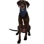 Trixie InsectShield Bandana tegen insecten grijs XL, Ophalen of Verzenden, Hongkongstraat 71, Klantenservice@vdmdtg.nl, Nieuw