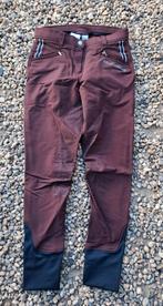 Felix Bühler rijbroek met grip maat 40 igst, Ophalen, Gebruikt, Dressuur, Onderkleding