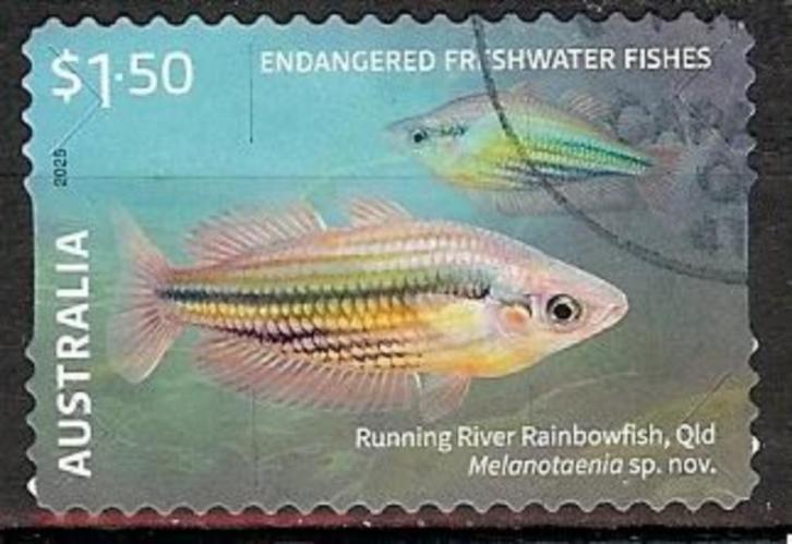 620 Australië 2025 Endangered Freshwater Fishes s/a, Postzegels en Munten, Postzegels | Oceanië, Gestempeld, Verzenden