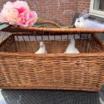 Bruidsduiven, Postduif