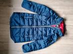 NIEUW! Gaastra winterjas maat S., Kleding | Dames, Jassen | Winter, Gaastra, Blauw, Nieuw, Ophalen of Verzenden