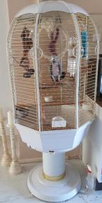 ik zoek deze papegaaienkooi, Dieren en Toebehoren, Vogels | Hokken en Kooien, Ophalen, Gebruikt, Metaal, Vogelkooi