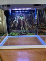 Super Fish aquarium Panorama 20 leds met accessoires, Dieren en Toebehoren, Ophalen, Gebruikt, Leeg aquarium