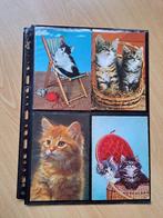 Oude ansichten met katten, Ophalen of Verzenden, 1960 tot 1980, Gelopen, Hond of Kat