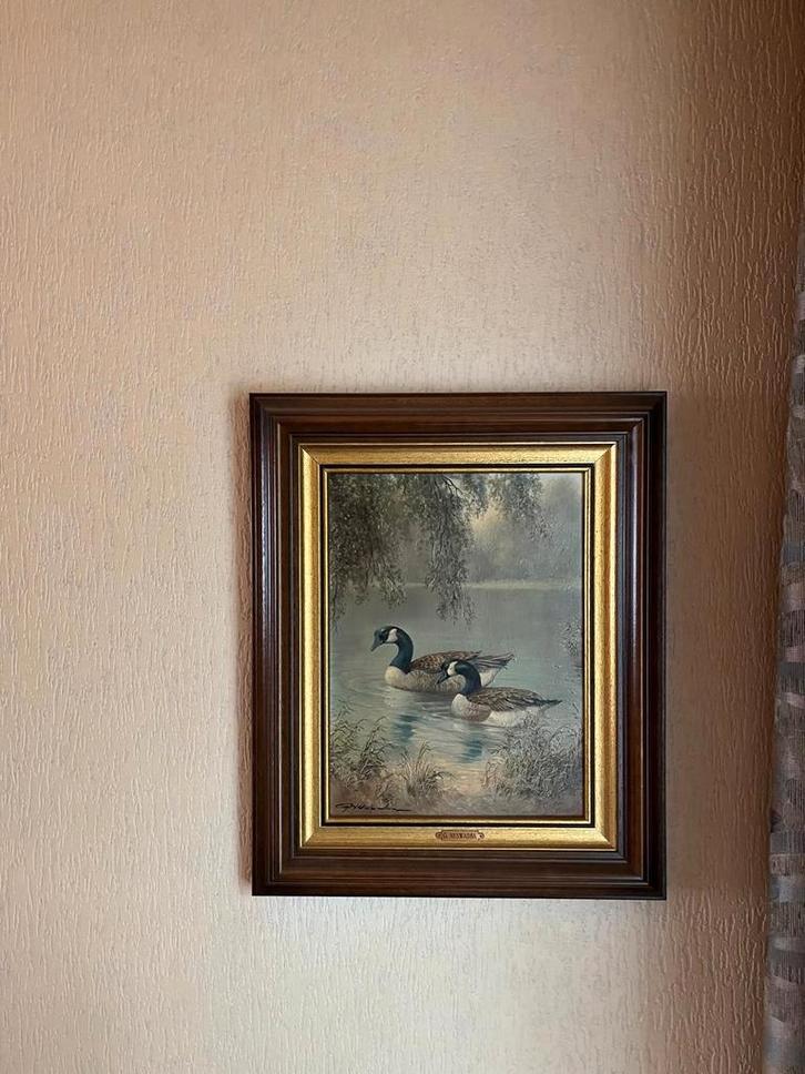 Schilderij van Ganzen in het Water, Antiek en Kunst, Kunst | Schilderijen | Klassiek, Ophalen