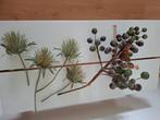 Kunstbloemen. Samen voor 5 euro, Ophalen of Verzenden