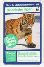 Super dieren no.97 Siberische tijger [2728]  [VeOvSu], Albert Heijn, Ophalen of Verzenden