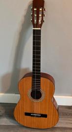 Motion Gitaar TC 901 - Klassiek Model, Muziek en Instrumenten, Ophalen, Gebruikt, Klassieke of Spaanse gitaar
